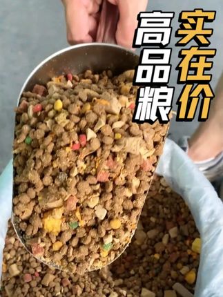 源头直供好粮,预算内提供高冻干鲜肉品质 #狗粮推荐#推荐好物#冻干狗粮#源头实力厂家#性价比超高