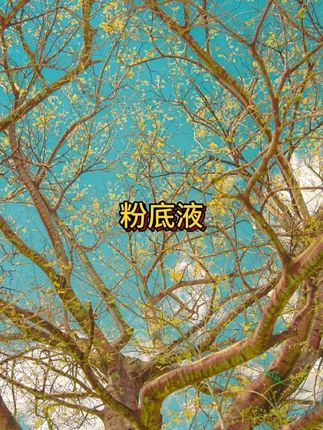 有了这款控油持妆一整天的养肤粉底液,出油出汗也不怕脱妆斑驳了,关键还#防水防汗不脱妆,真的爱了#粉底液 #精致妆容 #持妆粉底液 #抖音美好丰收节 #男士神仙单品 #在抖音入手的好东西 #无限回购的宝藏单品