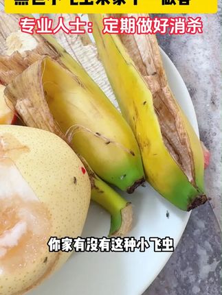 自从家里用了#蟑螂魔盒 家里就没有小强啦,还是不用火不用电的#好物分享 #母婴好物