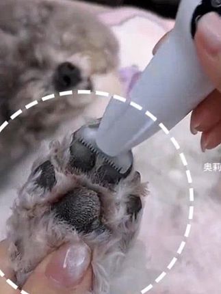 磨甲剃毛二合一!狗狗不抗拒配合度特别好,有它少跑好多趟宠物店 #萌宠好物#  宠物磨甲器  #宠物剃脚毛器