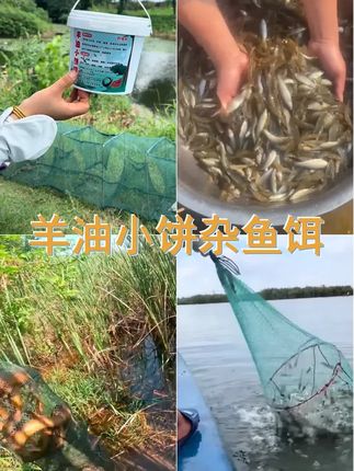 羊油小饼诱钓杂鱼 #爆护饵料 #视频同款在橱窗 #羊油小饼诱钓杂鱼 #羊油抓虾小饼子饵料 #户外下笼子专用饵料