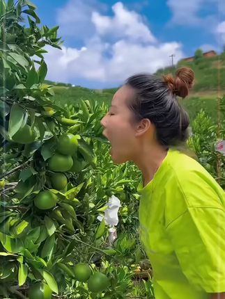 云南青皮蜜橘#橘子熟了 #桔子#青皮橘 #云南蜜橘