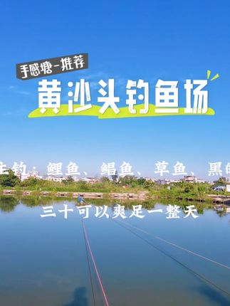 手感塘会不会是野钓的归宿 最近野钓已经麻木了#钓鱼技巧 #钓鱼人就是这么疯狂 #抖音推广