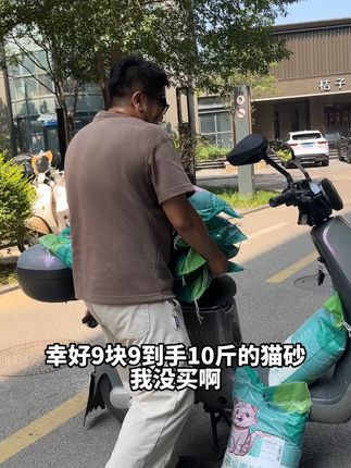 这个猫砂囤就行,性价比高,而且结团紧实,用完之后家里再也不会臭烘烘的了#猫砂测评 #新手养猫 #猫砂