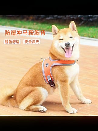 马鞍式胸背防挣脱牵引遛狗绳舒适犬胸背夏季狗绳牵引绳#遛狗绳 #夏季狗绳 #马鞍式胸背 #防挣脱 #狗狗用品
