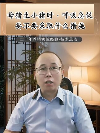 母猪分娩时呼吸急促·要不要采取措施?