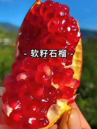 吃石榴不吐石榴籽籽的快乐谁懂啊?!一口下去超过瘾,清甜又多汁 ~#石榴 #新鲜应季水果 #现摘现发新鲜到家 #优质农产品 #石榴红了
