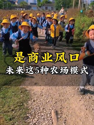 未来5年,这5种模式,将会成为休闲农场,最赚钱的风口 #农场 #休闲农业 #农文旅 #农场规划 #农庄星探
