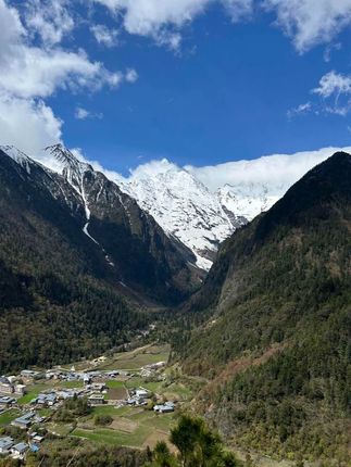 这个小果子真的的巨巨巨巨好吃,又香又脆根本停不下来,满满80后小时候的回忆#巨便宜巨划算#追剧小零食#地方特色