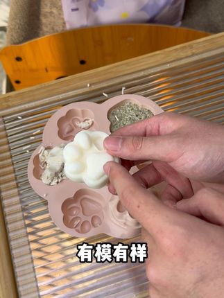 今年的商家都是怎么了,这纯木薯猫砂居然这么划算,你看看这一袋才多少钱#纯木薯猫砂 #木薯猫砂 #木薯猫砂推荐