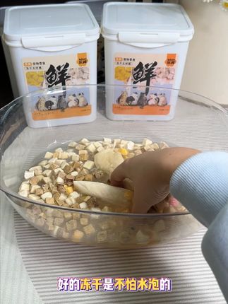 给猫新鲜感!5 种冻干口味在一桶,告别单调零食 #科学养宠攻略 #养猫新手 #萌宠出道计划 #猫咪