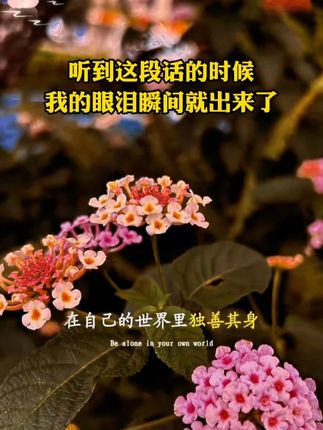 在自己的世界里独善其身,在别人的世界里顺其自然。放下执念,才能放过自己,与自己和解#女性智慧#放下执念#焦虑情绪#情绪管理#智慧人生