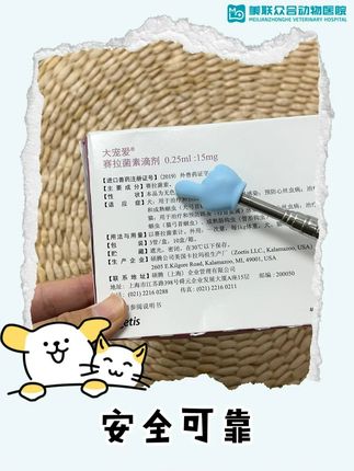 一月一次大宠爱,告别寄生虫困扰超省心!#大宠爱体内外驱虫 #内外同驱 #猫咪驱虫