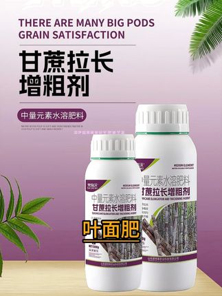 甘蔗拉长增粗增甜高产专用叶面肥 #甘蔗种植 #种甘蔗 #甘蔗高产 #甘蔗增产 #甘蔗种植技术