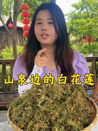 这种青草带给有缘人 #白花莲 #潮汕青草 #青草文化