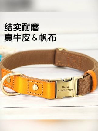 遛狗项圈刻字防丢狗脖圈中小型犬泰迪定制遛狗拉布拉多狗脖套金毛#狗狗用品 #遛狗项圈 #宠物防丢 #中小型犬 #定制项圈