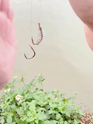 久岩伊势尼鱼钩正品绑好成品子线双钩加强成品钓大鱼有刺鲢鳙钩#鱼钩 #钓鱼钩 #子线双钩 #成品鱼钩 #正品鱼钩