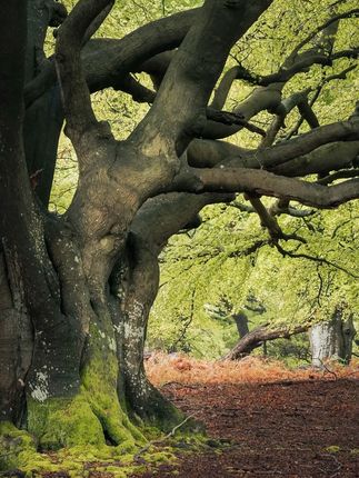 #好物推荐🔥 #居家好物 #保温壶 #保温杯 #大容量 A