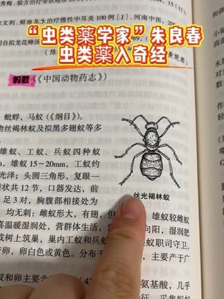 #老祖宗的智慧 #传统文化 #一本好书