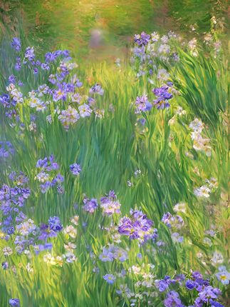 #黄芪党参豆浆粉 #豆浆粉  #营养好喝  #老人孩子都爱喝  #健康早餐