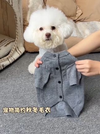 谁能拒绝一件经典纯色开衫呢 简约又时尚的小开衫,穿上秒变韩系修狗!不知道选什么买这种纯色的经典款准没错!#狗狗衣服 #宠物衣服 #萌宠好物 #猫咪衣服 #狗狗衣服秋冬款