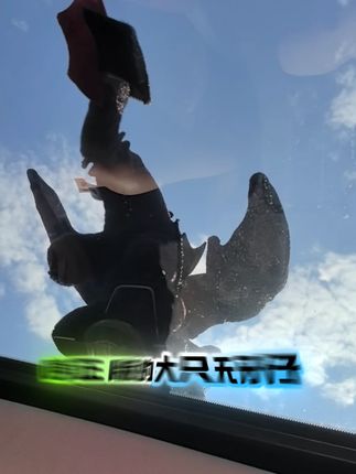 哼,正版的无牙仔翅膀从来不会打到车子。只会微动。#无牙仔 #车顶装饰 #车尾挂件 #汽车好物