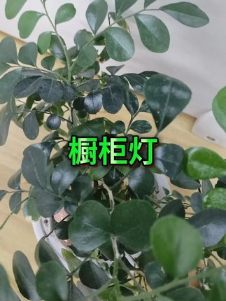 感应橱柜灯 #免打孔 #充电式 #超薄灯带