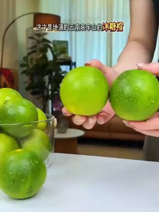 云南哀牢山冰糖橙青皮橙子