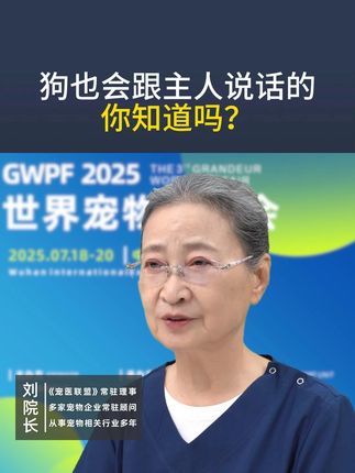 狗也会跟主人说话的你知道吗? #狗是人类最忠诚的朋友#养狗经验分享#科学养宠攻略#狗狗的日常#养宠进阶指南