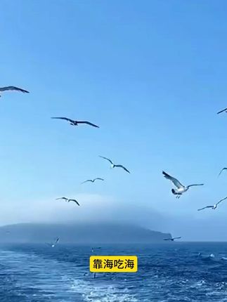 满满海洋味!每颗虾皮都带来无与伦比的鲜香! #虾皮 #种草好物 #好吃到停不下来 #颗颗饱满 #靠海吃海