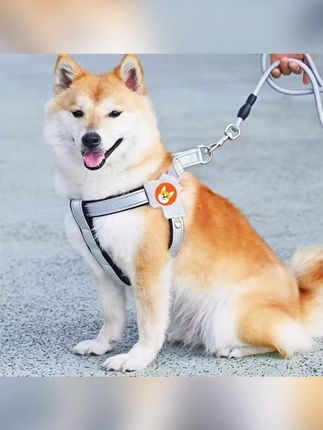 Y型胸背带狗狗牵引绳背心式防护柔软透气不勒脖牵引绳中小型狗链