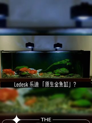官方授权 创星过滤桶CF1200/1000/800缸外过滤桶鱼缸水族外置过滤 #养鱼养心 #养鱼日记 #轻松养鱼