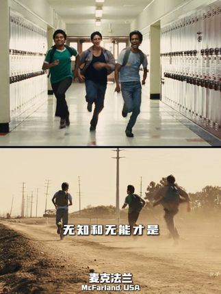 ”不要屈从于平庸,人生就是转瞬即逝的鸟鸣“ #了不起的混剪团 #共鸣叙事家 #青年创作者成长计划 #电影美学