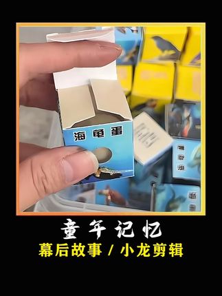 海龟蛋,藏在纸盒里的童年遗憾 #童年记忆 #海龟蛋