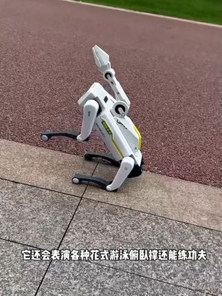 超酷炫又好玩的AI智能#机器狗 玩具 能走能遛还会夹取东西送到主人手里!还有唱歌跳舞翻俯卧撑等等各种技能,这哪个小朋友看到不迷糊啊😂#儿童玩具 #机器狗 #遛娃神器 #儿童玩具