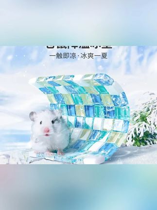 仓鼠卡诺冰垫冰屋夏天降温神器宠物解暑金丝熊晶石垫清凉避暑散热#宠物用品 #萌宠好物 #宠物推荐官 #家有萌宠 #仓鼠冰垫