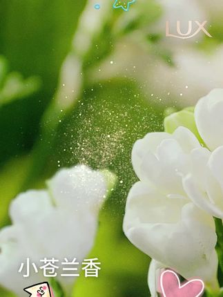 【田曦薇同款】力士小苍兰沐浴露大瓶烟酰胺香氛官方 550g*3+200g*3#力士沐浴露 #小苍兰香氛 #烟酰胺沐浴露 #大容量沐浴露 #沐浴好物