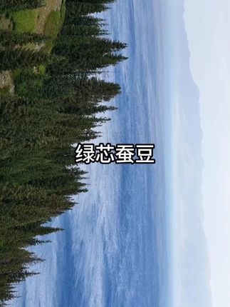 #绿心蚕豆 没有添加素色香精防腐剂 配料干净#香酥蚕豆