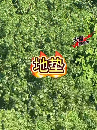 地垫入户门垫进门垫子新款浴室门口室外防滑垫家用脚垫商用#地垫 #入户门垫 #防滑垫 #浴室垫 #门垫