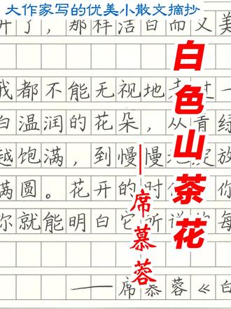 优美散文手写摘抄 大作家写的优美小散文 手写摘抄 席慕蓉《白色山茶花》 #手写 #练字 #阅读 #散文欣赏