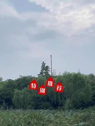 大码弯刀牛仔裤女2025秋季