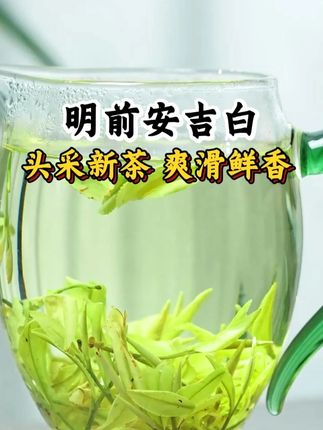 新茶上市,#安吉白茶 #每日一茶 #茶叶 #绿茶 #爱生活爱喝茶