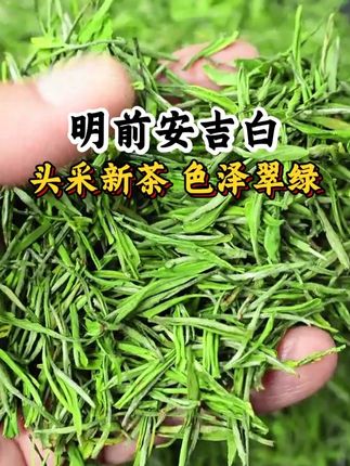 新茶上市,#安吉白茶 #爱喝茶的关注我 #茶叶 #绿茶 #今天你喝茶了吗