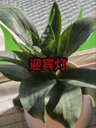 奔驰迎宾灯C级E级C200L E200L E级E300L GLC GLA GLB投影氛围灯 #迎宾灯 #投影氛围灯 #车灯