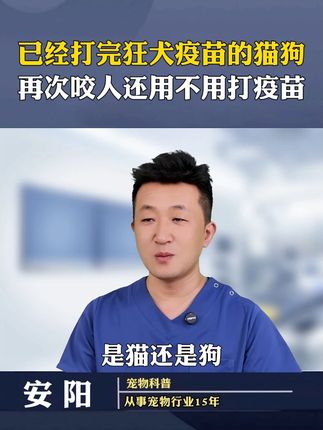 被猫狗抓伤咬伤,什么情况下需要打,什么情况下不需要呢? #科学养宠攻略  #新手养猫 #狂犬病  #萌宠好物