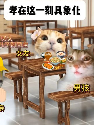 孝在这一刻具象化 #猫meme故事 @抖音热点