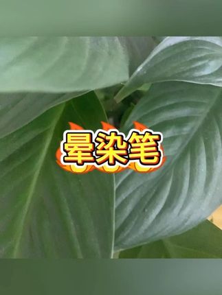 油画棒晕染笔 重彩揉擦海绵工具 #美术工具 #油画棒 #晕染笔 #绘画神器 #艺术创作