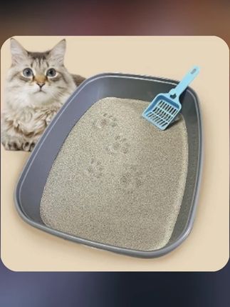 #木森 猫砂砂膨润土猫砂小米砂不粘底有粉尘批发猫猫用品小颗粒猫砂#膨润土 #膨润土猫砂 #膨润土厂家 #木森大舞台