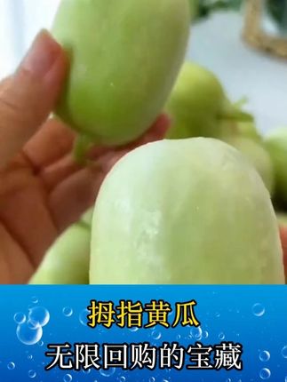 山东金童玉女小黄瓜新鲜拇指黄瓜1/5斤白玉青瓜包邮手指迷你水果,脆爽多汁,果香浓郁 #超好吃 #优质水果 #水果黄瓜