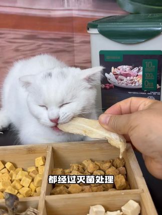 足足10种冻干 100%动物性原料 每颗冻干都经过辐照灭菌处理 放心喂 #新手养宠 #科学养宠 #萌宠好物 #宠物冻干 #超便宜超划算